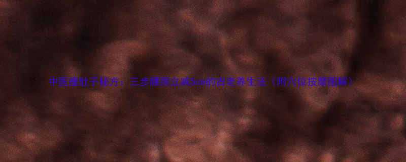 中医瘦肚子秘方三步腰围立减5cm的古老养生法附穴位按摩图解-第2张图片-ZBLOG