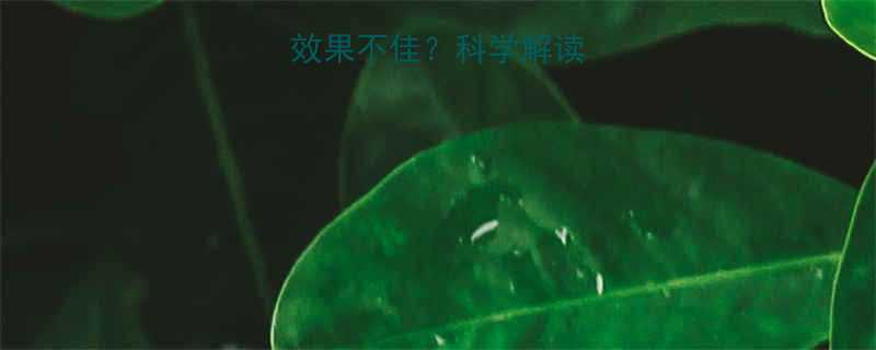 为什么减肥药效果不佳科学解读及安全替代方案-第2张图片-ZBLOG