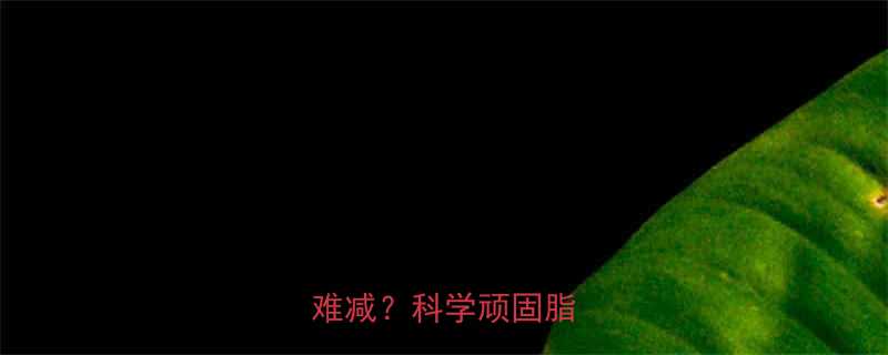 为什么女性腹部脂肪最难减科学顽固脂肪成因-第1张图片-ZBLOG