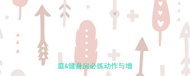 &健身房必练动作与增肌计划-第2张图片-ZBLOG