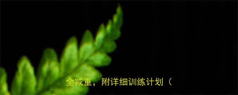 产后修复必看这5类运动帮你安全减重附详细训练计划附图-第1张图片-ZBLOG