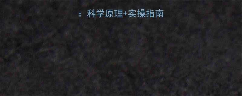 人体最佳减肥法科学原理实操指南附食谱运动计划-第3张图片-ZBLOG