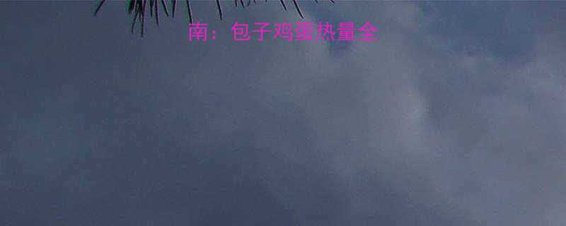 低卡早餐搭配指南包子鸡蛋热量全与营养师推荐食谱-第1张图片-ZBLOG