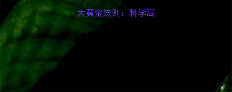健美快速减脂5大黄金法则科学高效体脂率下降技巧-第1张图片-ZBLOG