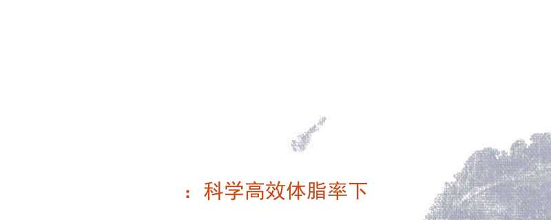 健美快速减脂5大黄金法则科学高效体脂率下降技巧-第2张图片-ZBLOG