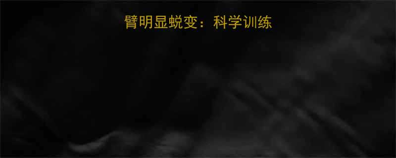 健身3个月手臂明显蜕变科学训练计划与效果对比-第2张图片-ZBLOG