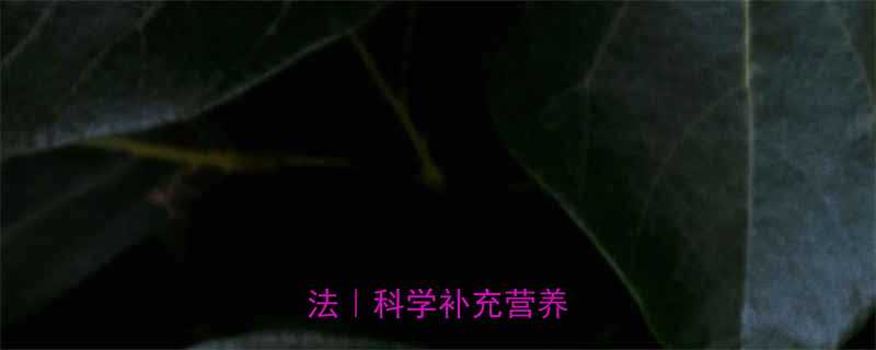 健身后吃水果的黄金搭配法科学补充营养不踩坑-第1张图片-ZBLOG