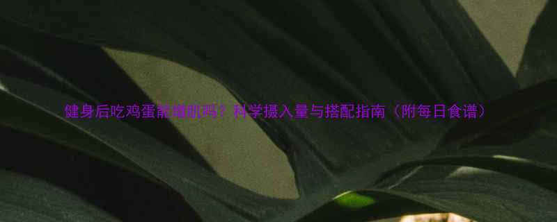 健身后吃鸡蛋能增肌吗科学摄入量与搭配指南附每日食谱-第2张图片-ZBLOG