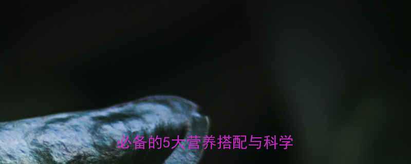 健身后黄金1小时吃什么增肌减脂必备的5大营养搭配与科学进食指南-第1张图片-ZBLOG