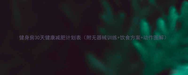 健身房30天健康减肥计划表附无器械训练饮食方案动作图解-第1张图片-ZBLOG