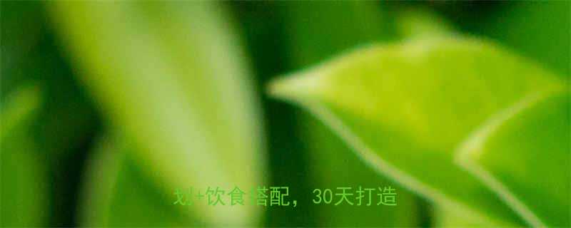 健身房减肥高效科学5大黄金计划饮食搭配30天打造完美身材-第1张图片-ZBLOG