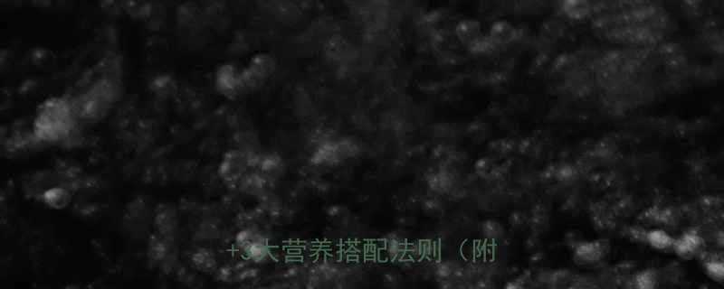 健身房减脂必吃的5种食物清单3大营养搭配法则附食谱-第1张图片-ZBLOG