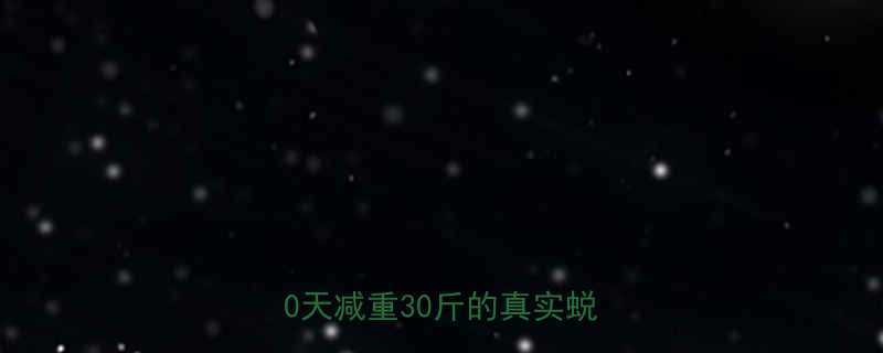 健身房科学减脂全攻略120天减重30斤的真实蜕变之路-第2张图片-ZBLOG