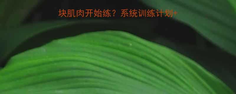 健身新手必看从哪块肌肉开始练系统训练计划动作图解附训练表-第1张图片-ZBLOG