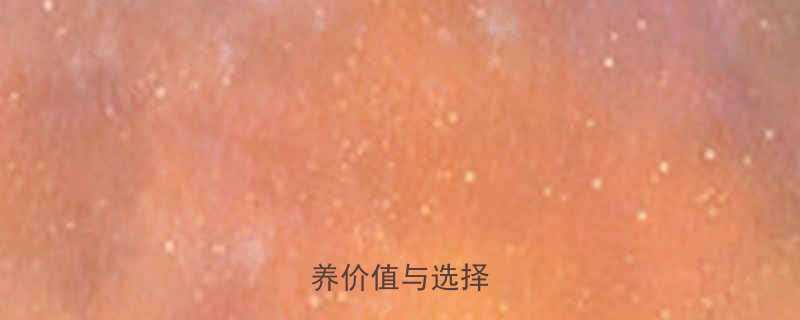 健身牛肉块的营养价值与选择要点-第3张图片-ZBLOG