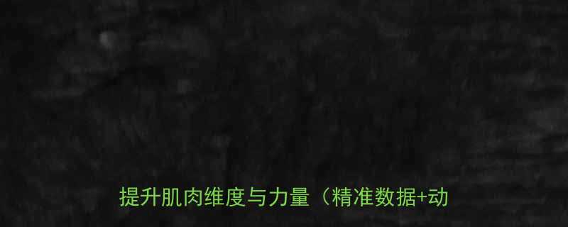 健身练肩膀哑铃重量选择全攻略科学搭配提升肌肉维度与力量精准数据动作演示-第2张图片-ZBLOG