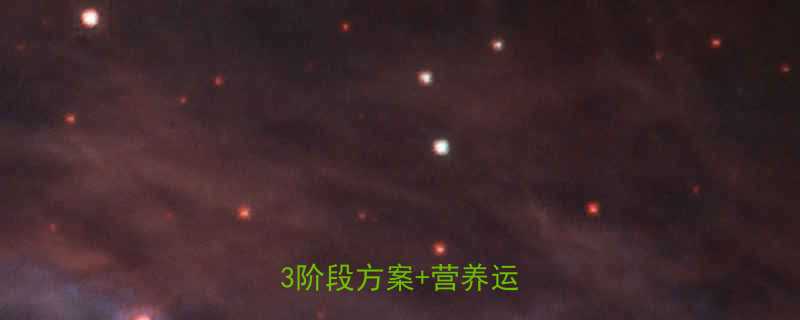 健身赛前科学减脂全攻略3阶段方案营养运动指南-第2张图片-ZBLOG