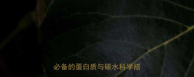 健身餐一天三餐食谱增肌减脂必备的蛋白质与碳水科学搭配指南-第1张图片-ZBLOG