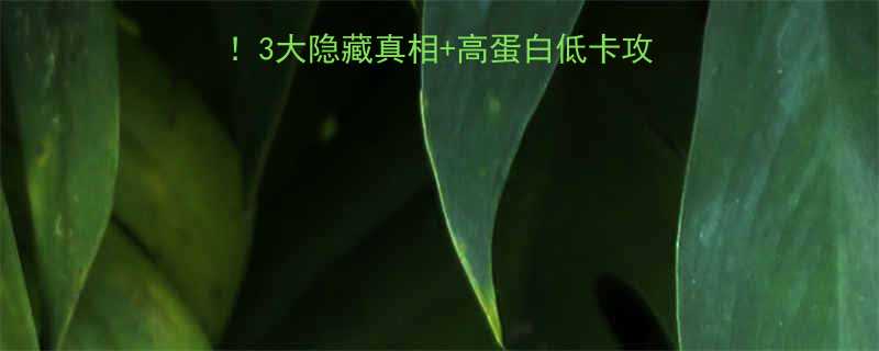 全家巧克力面包热量大3大隐藏真相高蛋白低卡攻略减脂期也能放心吃-第2张图片-ZBLOG