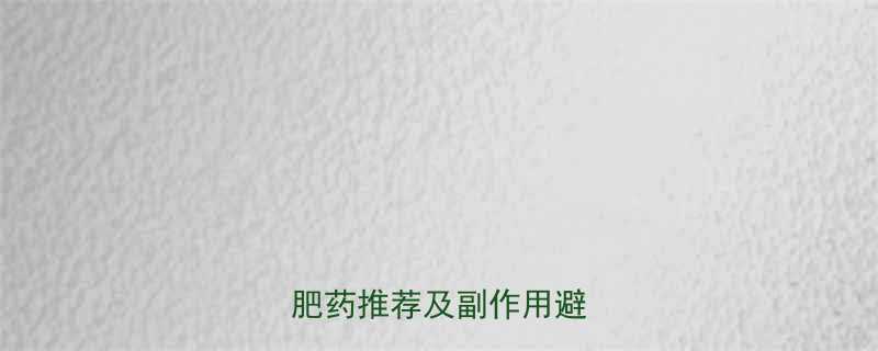 全网最全安全有效的减肥药推荐及副作用避坑指南-第1张图片-ZBLOG