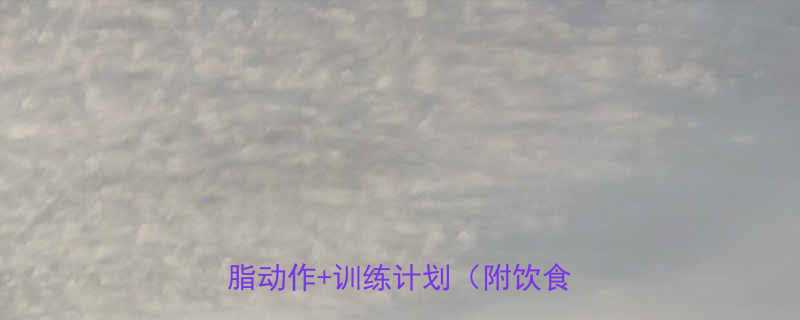 全身减脂运动推荐居家高效燃脂动作训练计划附饮食攻略-第3张图片-ZBLOG