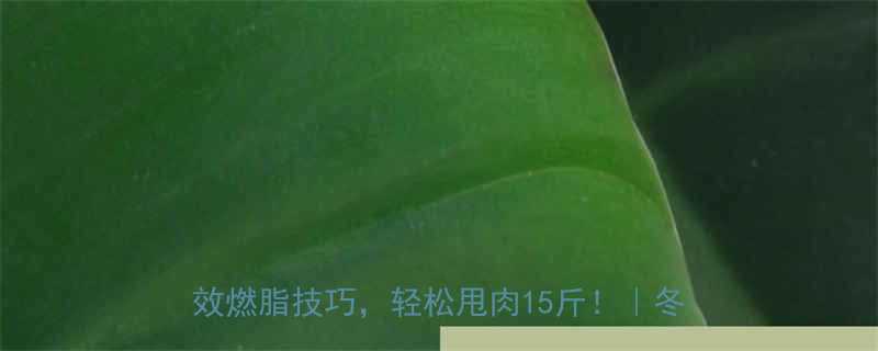 冬天快速减肥运动指南30天科学计划高效燃脂技巧轻松甩肉15斤冬季健身攻略-第2张图片-ZBLOG