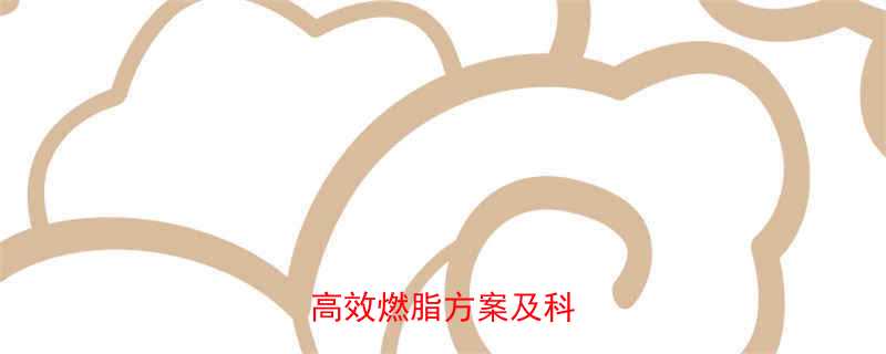 冬季减肥运动推荐5种高效燃脂方案及科学原理-第1张图片-ZBLOG