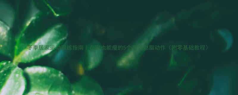 冬季居家运动跟练指南｜在家也能瘦的5个高效燃脂动作（附零基础教程）-第3张图片-ZBLOG