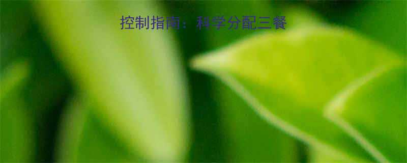 减肥期每餐热量控制指南科学分配三餐热量助你健康减脂-第1张图片-ZBLOG