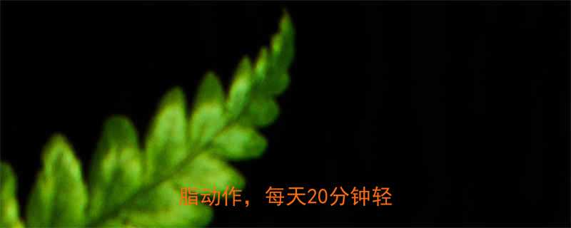 减肥运动全攻略7大高效燃脂动作每天20分钟轻松甩肉-第1张图片-ZBLOG