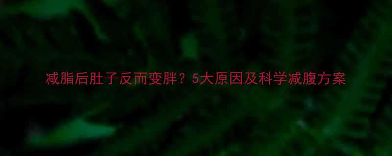 减脂后肚子反而变胖5大原因及科学减腹方案-第1张图片-ZBLOG