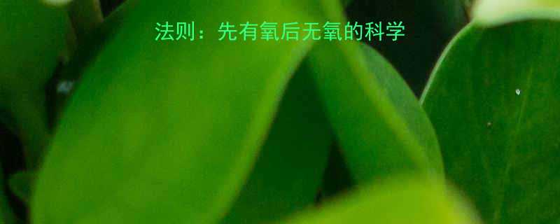 减脂必知的3大黄金法则先有氧后无氧的科学顺序与高效训练方案-第1张图片-ZBLOG