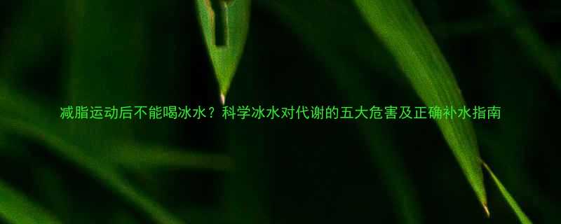 -第1张图片-ZBLOG