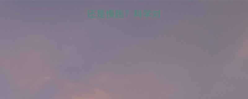 减脂选择快走还是慢跑科学对比哪个更有效-第1张图片-ZBLOG