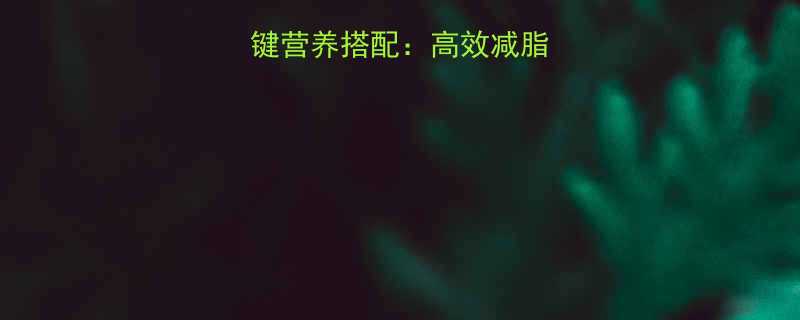 减脂餐的5大关键营养搭配高效减脂不反弹的饮食法则-第1张图片-ZBLOG