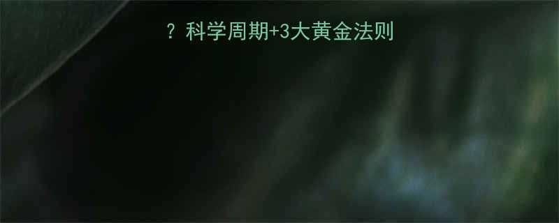 减脂餐该坚持吃多久科学周期3大黄金法则解锁高效燃脂密码-第1张图片-ZBLOG