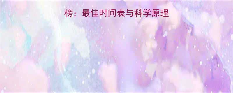 减脂黄金时段排行榜最佳时间表与科学原理附最新研究数据-第1张图片-ZBLOG