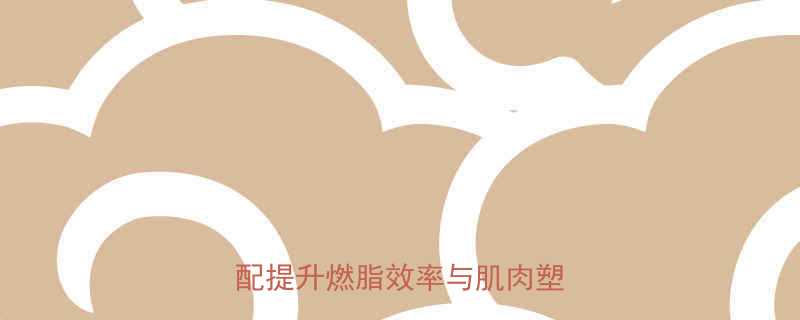 力量训练后做有氧运动科学搭配提升燃脂效率与肌肉塑造效果-第2张图片-ZBLOG