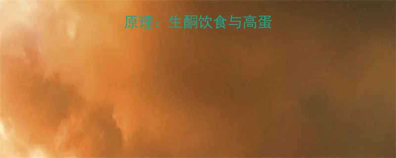 只吃肉减脂的科学原理生酮饮食与高蛋白饮食的减脂机制全-第2张图片-ZBLOG