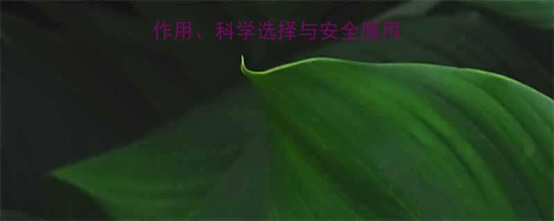 吃减肥药需谨慎副作用科学选择与安全服用全指南附推荐品牌-第2张图片-ZBLOG