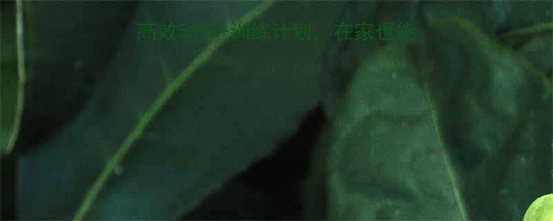 哑铃健身全攻略7种高效动作训练计划在家也能练出完美身材附图解-第1张图片-ZBLOG