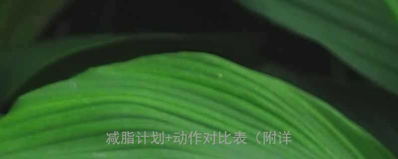 器械锻炼热量消耗全攻略30天科学减脂计划动作对比表附详细数据-第2张图片-ZBLOG