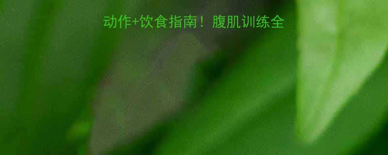 在家健身房5大黄金动作饮食指南腹肌训练全攻略附训练计划表-第1张图片-ZBLOG