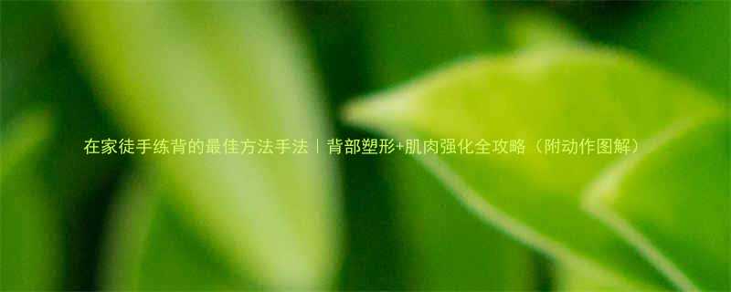 在家徒手练背的最佳方法手法背部塑形肌肉强化全攻略附动作图解-第1张图片-ZBLOG