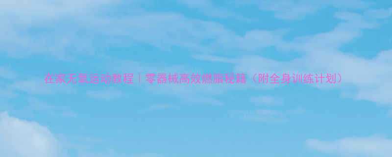 在家无氧运动教程零器械高效燃脂秘籍附全身训练计划-第2张图片-ZBLOG