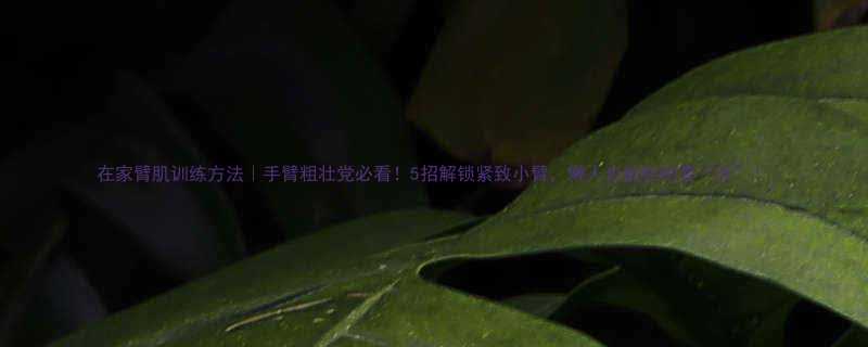 在家臂肌训练方法手臂粗壮党必看5招解锁紧致小臂懒人也能轻松变壮-第1张图片-ZBLOG