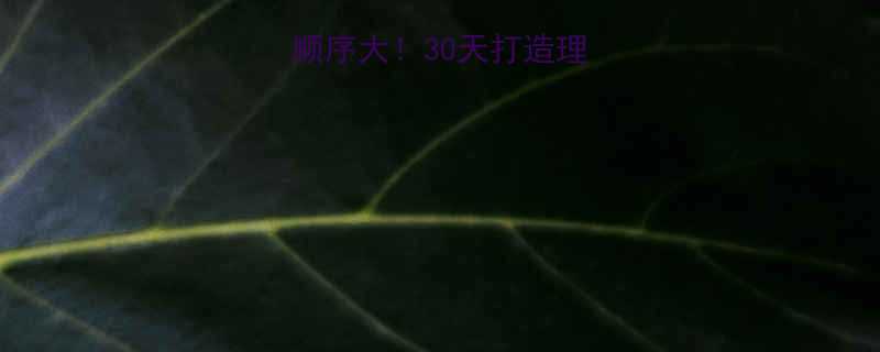 增肌vs减脂顺序大30天打造理想身材全攻略-第1张图片-ZBLOG