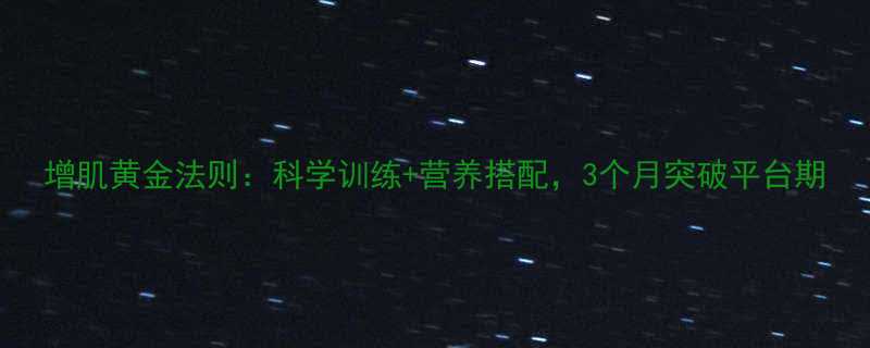 增肌黄金法则科学训练营养搭配3个月突破平台期-第2张图片-ZBLOG