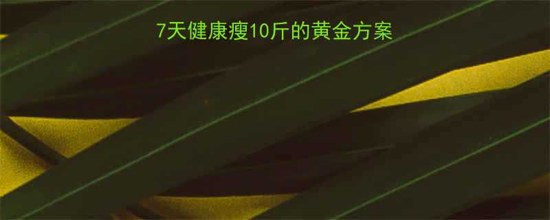 夏季科学减重指南7天健康瘦10斤的黄金方案附饮食运动全攻略-第1张图片-ZBLOG