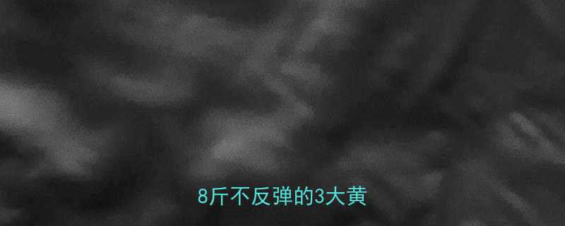 夏季高效减肥攻略7天瘦8斤不反弹的3大黄金法则-第2张图片-ZBLOG